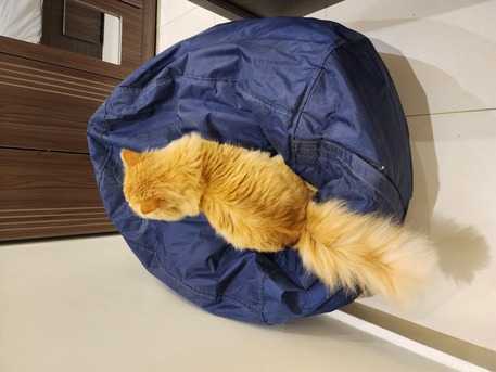 Al Wizarat, Furniture, SAR 200,  Bean Bags (Good Condition)