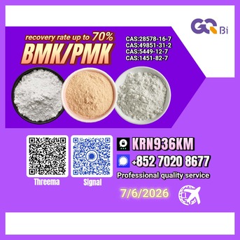 Tirana, Books, ALL 123,  CAS:5449-12-7//CAS:28578-16-7BMK/PMK Extraction Rate Up To 70%