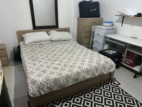 Riyadh, Pet Adoption, Cat Dormitory, Cat Sitter, Cat Day Care , Cat Home