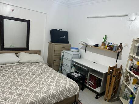 Riyadh, Pet Adoption, Cat Dormitory, Cat Sitter, Cat Day Care , Cat Home