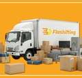 Flash Movers3