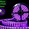 BHD 10,  Party Light's