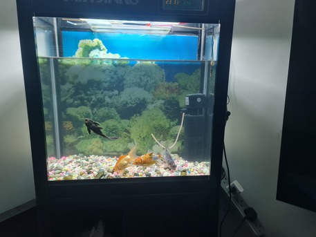 Dammam, Furniture, SAR 300,  Fish Aquarium
