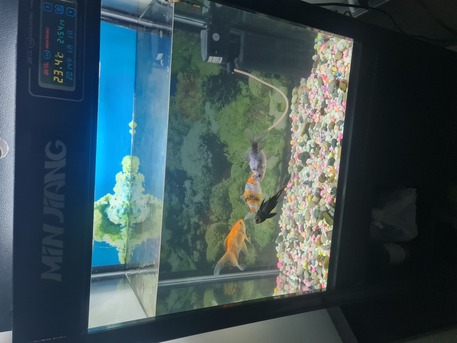 Dammam, Furniture, SAR 300,  Fish Aquarium