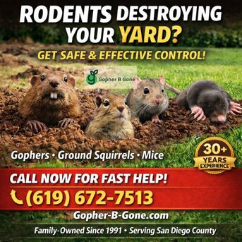San Diego, Farm/Garden, San Diego Gopher & Rodent Control - Trusted Since 1991