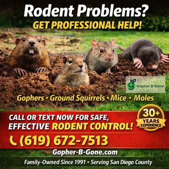 San Diego, Farm/Garden, San Diego Gopher & Rodent Control - Trusted Since 1991