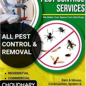 CHOUDHARY EXPERT PEST CONTROL🧡SPRAYS AND BED BUGS🧡 & GUARANTEED BEST PRICE=(0537572013)