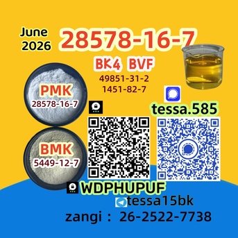 Hong Kong, Wholesale Products, High Quality Chemical Supplier Cas 28578-16-7 PMK