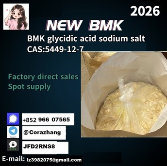 Sydney, Auto Parts, AUD 300,  Cas 5449-12-7 BM.K Powder Glycidic Acid (sodium Salt) Stable Supplier
