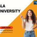 Resolve Professional Capability Deficits Through GLA University