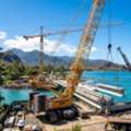 Certified Cranes In Hawaii For Safe And Precise Lifting Jobs - Arborist Services