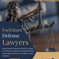 Why Do You Need Federal Forfeiture Defense Lawyers?