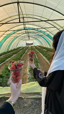 Abha, Travel, Tours In Abha, Aseer Region