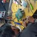 Why Trust Multitech Institute For An E-Vehicle Repairing Course?