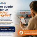¿Cómo Puedo Solicitar Un Reembolso En EasyJet?