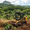 Professional Forest Mulching In Hilo Transforms Overgrown Land - Arborist Services