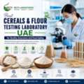 Reliable Flour Testing Company UAE For Food Manufacturers And Commercial Flour Suppliers