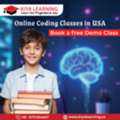 Online Coding Classes In USA