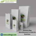 Grocery Bag Manufacturer In India For Business