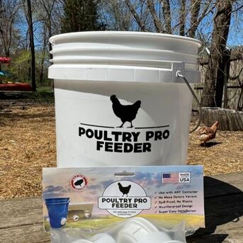 New York, Business, Automatic Gravity Chicken Feeder