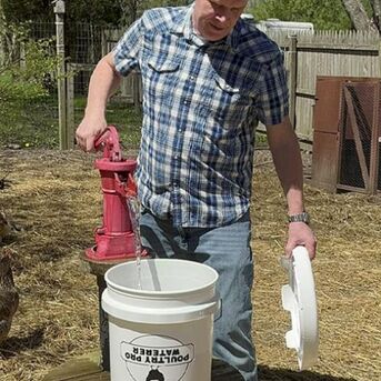New York, Business, Weatherproof Chicken Feeder