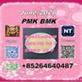 CNY 100,  Best Price Cas28578-16-7 P.MK And Cas5449-12-7 B.MK BULK SUPPLY