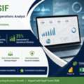 Data Entry Operator | MIS Reporting | Excel Expert | Transferable Iqama