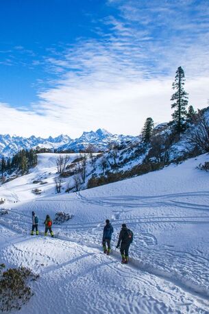 New Delhi, General, Manali Delights With Apple Country 3 Nights PACKAGE CATEGORY : Family, Adventure