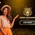 Welcome To The Ultimate Online Tigerexchange Betting Experience!