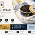 CAD 1,  Shop Caviar Online Canada For Luxury Gourmet Selections