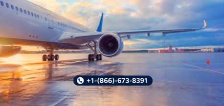 New York, Travel, Frontier Airlines Corporate Office+1-(866)-673-8391