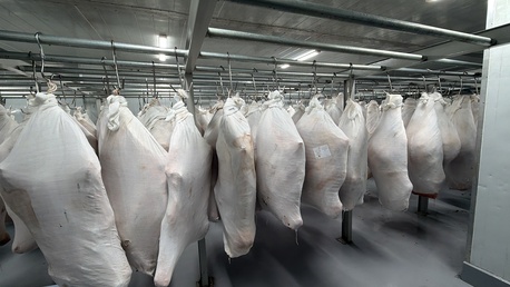 Riyadh, Food, Pakistani Meat (Beef - Mutton)  🍖- Retail - Wholesale
