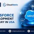 Best Salesforce Development Company In USA | CloudMetic