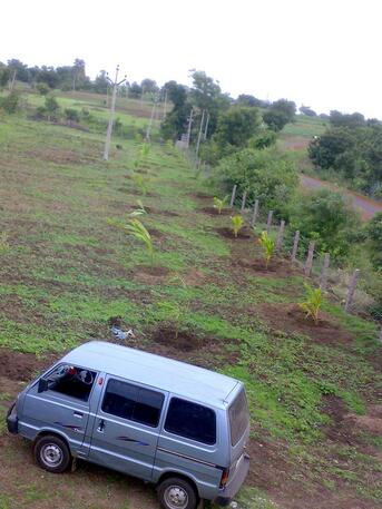 Hyderabad, Business Partners, Partner Needed For Plants Nursery Business