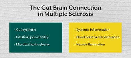 Pune, Guest Posting, Chronic Fatigue Before MS Diagnosis? Learn Why It Happens