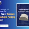 Premium Ceramic Structured Packing Solutions For Industrial Use
