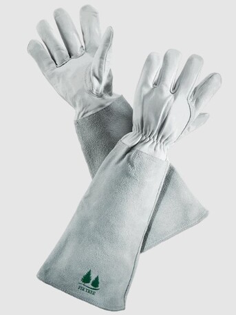 New York, Business, Gloves For Poison Ivy