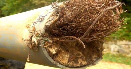 New York, Construction, Advanced Pipe Lining For Root Intrusion Repair By Nu Flow