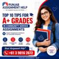 Top 10 Tips For A+ Grade In Community Service Assignments