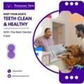 Keep Your Dog's Teeth Clean & Healthy With The Best Dental Care
