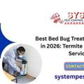 Best Bed Bug Treatment Solution In 2026: Termite Pest Control Service
