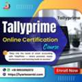 Tally Prime Accounting Certification Training