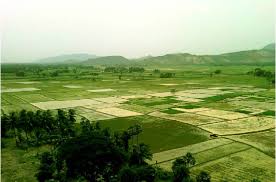 Ahmedabad, Real Estate, Plots In Dholera Smart City, Gujarat | Smart Investment Opportunity For Future Growth