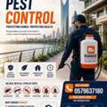 🐜🚫 Say GOODBYE To Pests &ndash; Hello To A Cleaner Home!