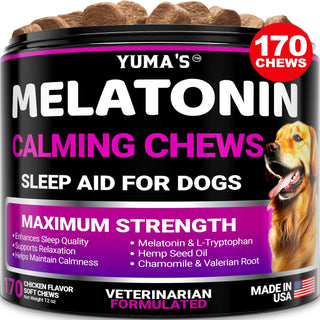 New York, Pet Supplies, Everything Your Dog Needs From Calming Chews To Daily Vitamins