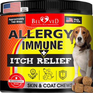 New York, Pet Supplies, Everything Your Dog Needs From Calming Chews To Daily Vitamins