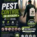 🏆 Riyadh's TRUSTED Pest Control Experts
