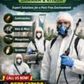 🔥 Fast, Safe & Guaranteed Pest Control