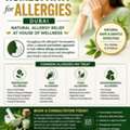 Homeopathy For Allergies Dubai – Natural Allergy Relief At House Of Wellness