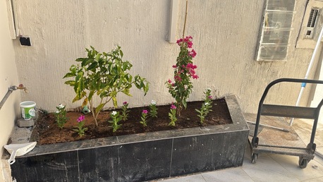 Al Malaz, Apartments, Flats, Houses & Villas, SAR 58/year,  4 BR,  4 Bedroom Two Bathroom And Open Kitchen With Swimming Pool